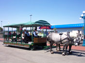 Victoria Trolley